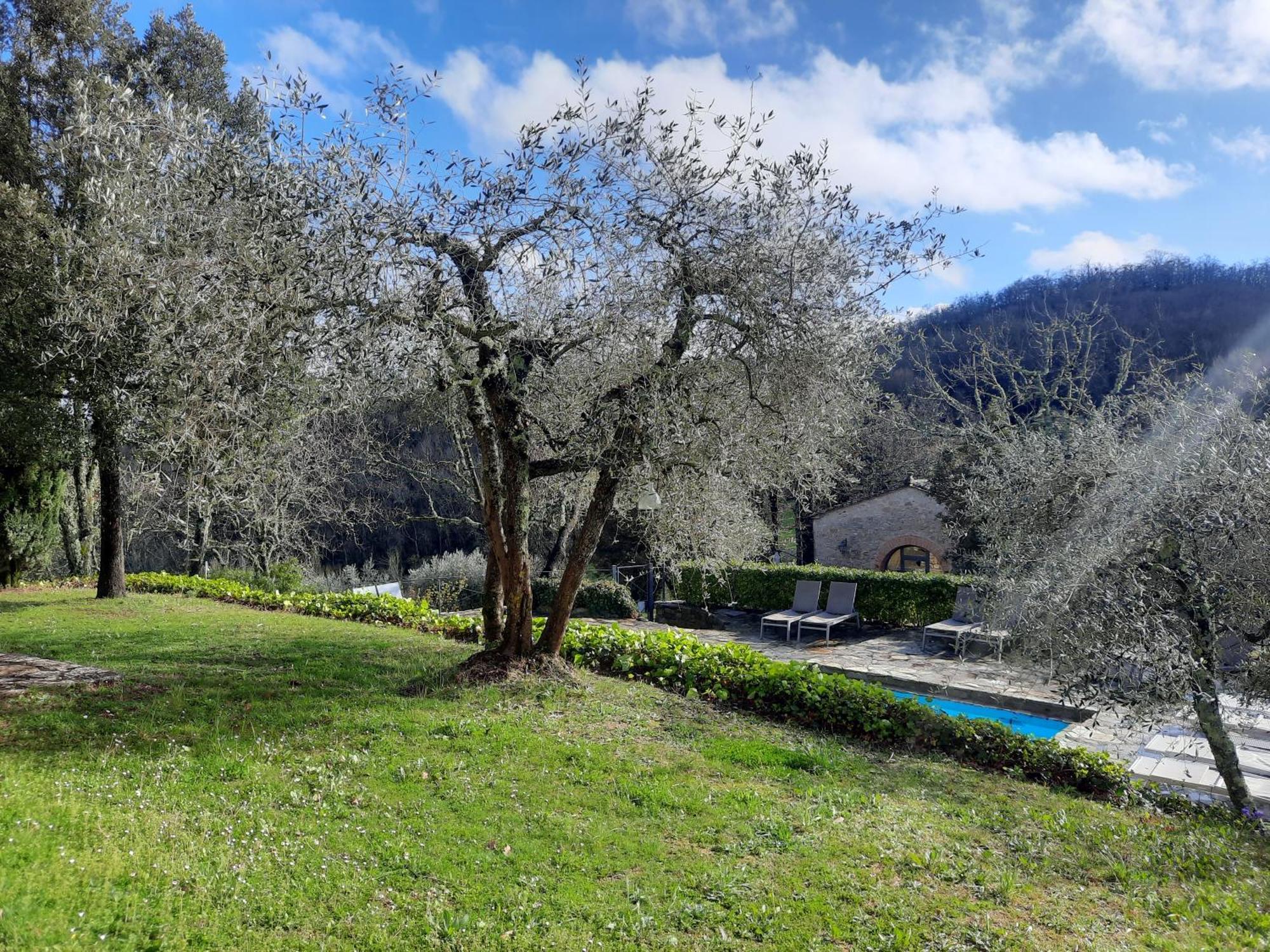 Borgo Livernano - Farmhouse With Pool Radda in Chianti Dış mekan fotoğraf